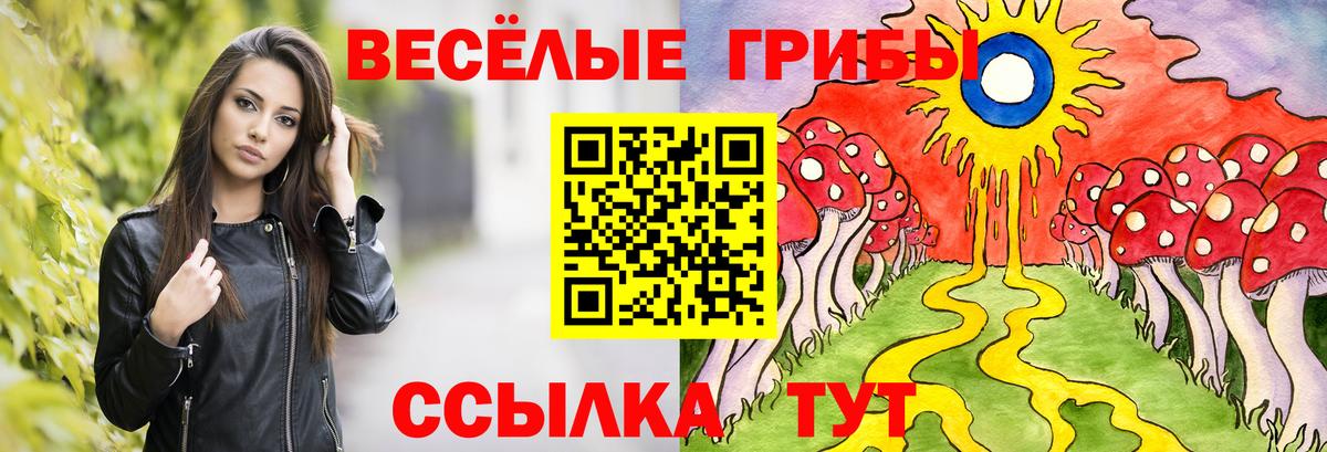 Псилоцибиновые грибы GOLDEN TEACHER  закладка  Пушкино  Вход с VPN  Галлюциногенные грибы мухоморы 